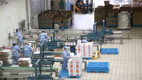 打造一片凈土，開足馬力保牛奶制品安全供應與勞動保護用品銷售